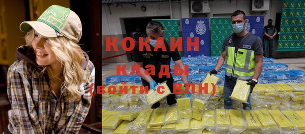 шишки Абдулино