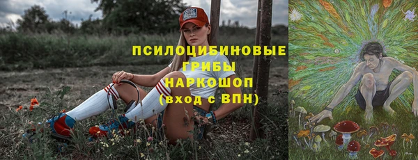 шишки Абдулино