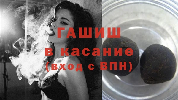 твердый Абаза
